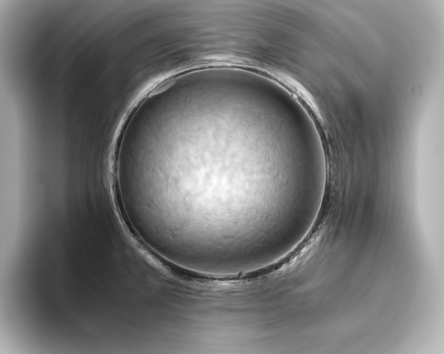 X0000093611381200710151231