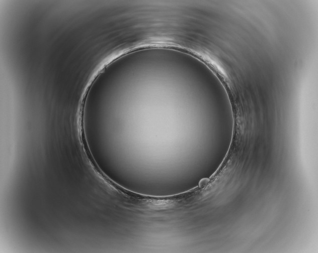 X0000093611382200710151231