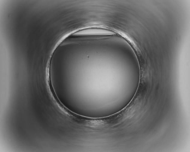 X0000093611383200710151231