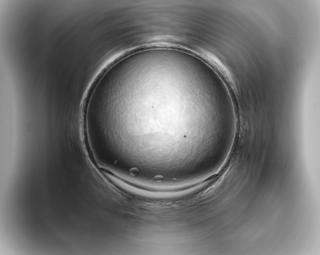 X0000093611384200710151231