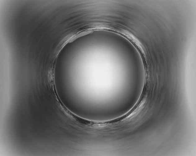 X0000093611385200710151231