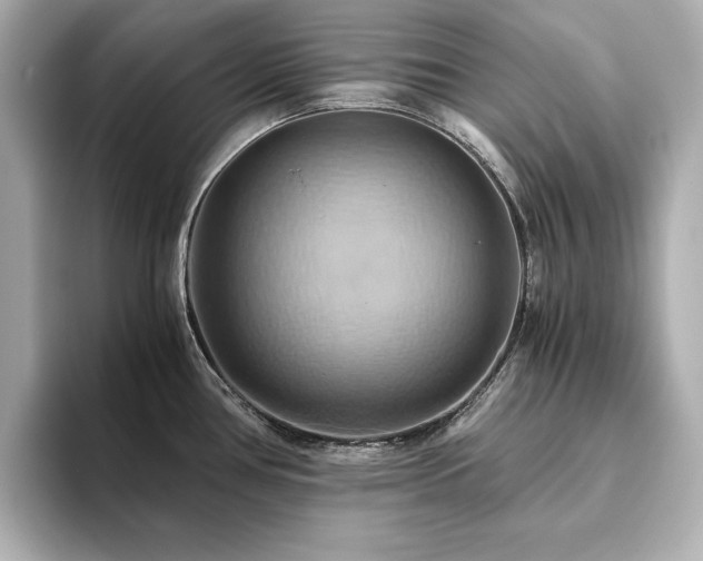 X0000093611386200710151231