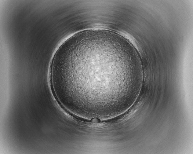 X0000093611387200710151231