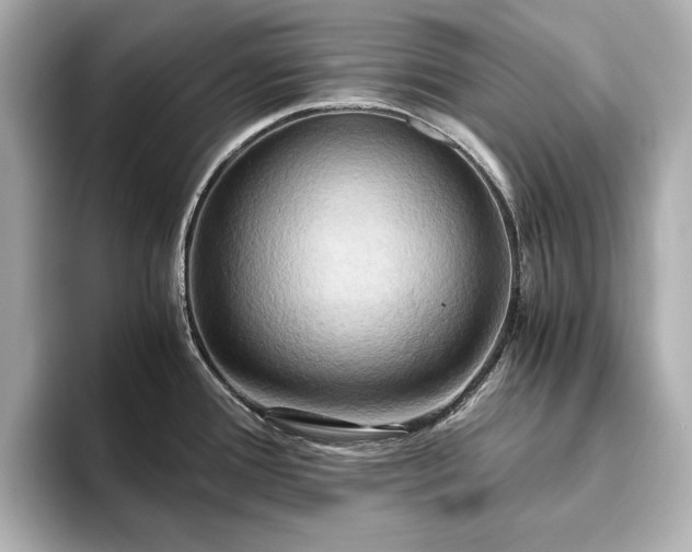 X0000093611388200710151231
