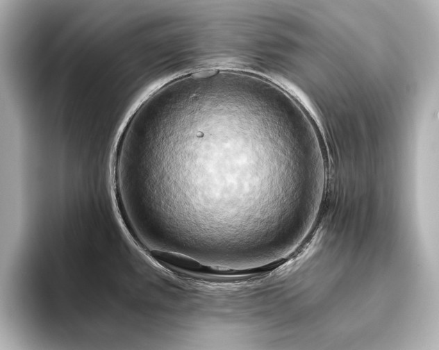 X0000093611389200710151231