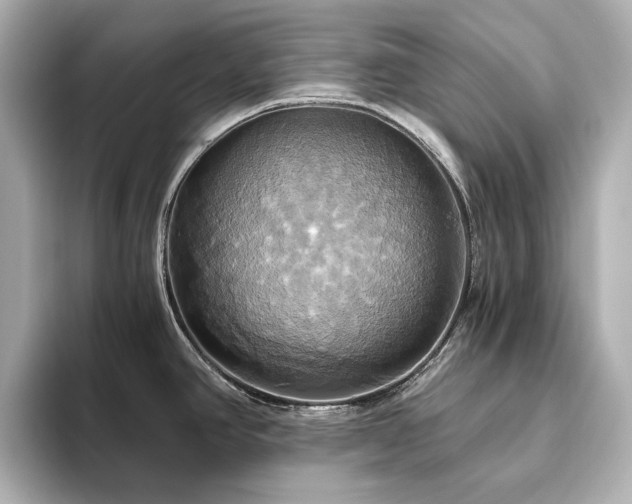 X0000093611390200710151231