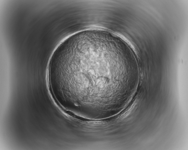 X0000093611391200710151231
