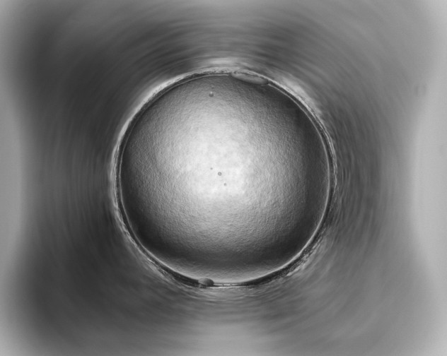 X0000093611392200710151231