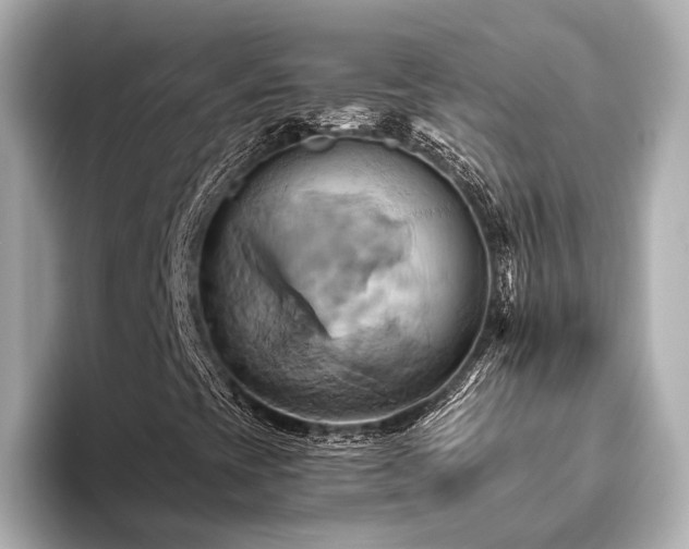 X0000093611393200710151230