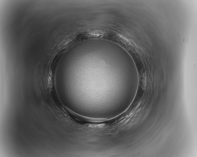 X0000093611394200710151230
