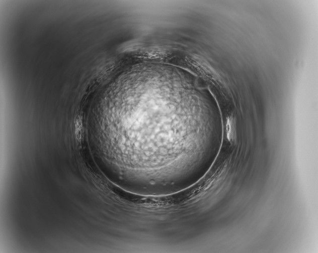 X0000093611395200710151230