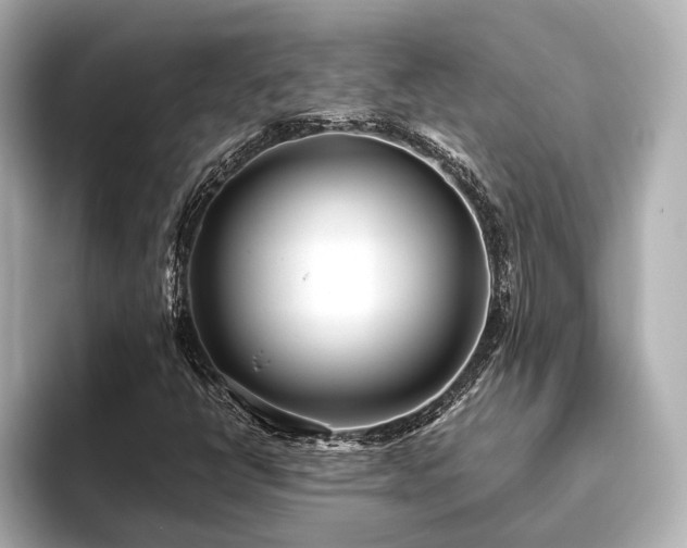 X0000093611398200710151231