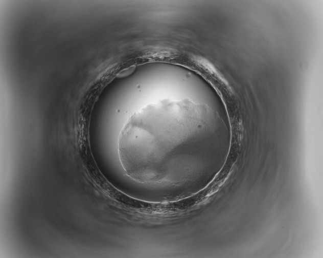 X0000093611399200710151231