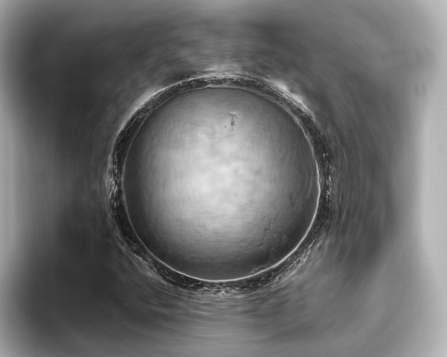 X0000093611400200710151231