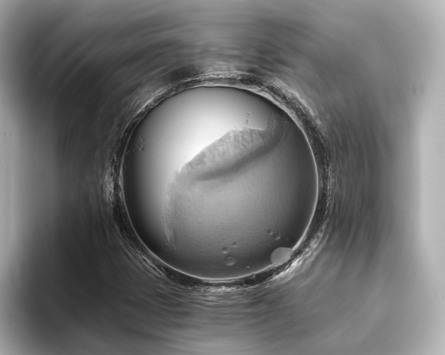 X0000093611401200710151231