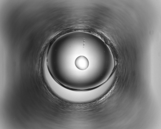 X0000093611402200710151231