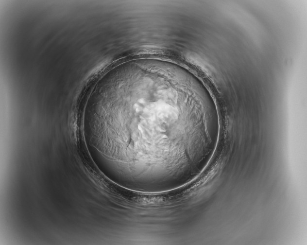 X0000093611403200710151231