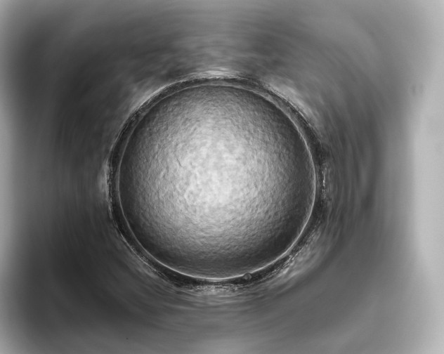 X0000093611404200710151231