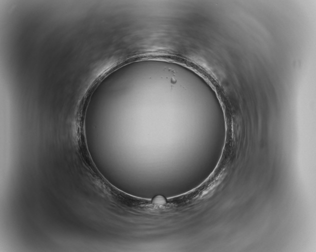 X0000093611405200710151231