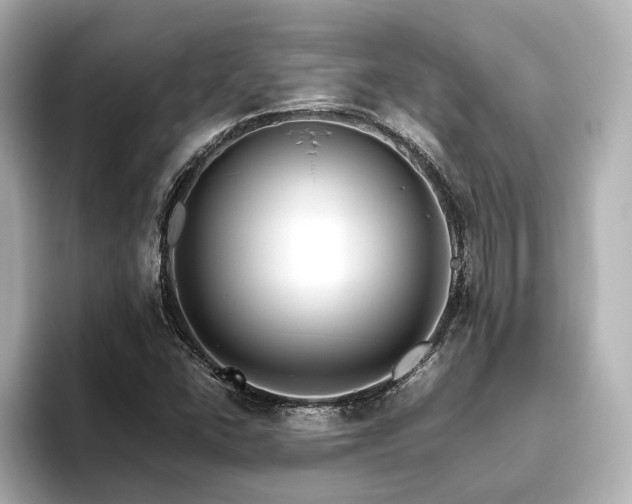 X0000093611406200710151231