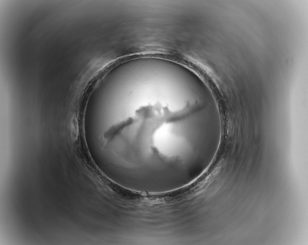 X0000093611407200710151231