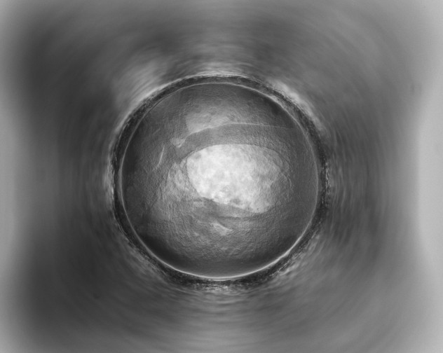 X0000093611408200710151231