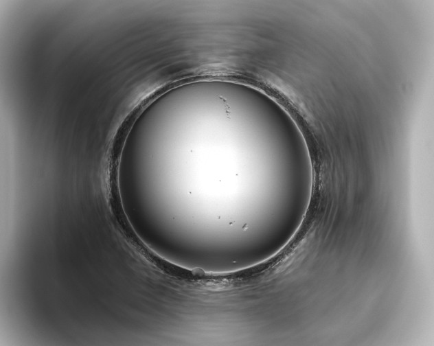 X0000093611410200710151231