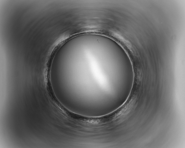 X0000093611411200710151231