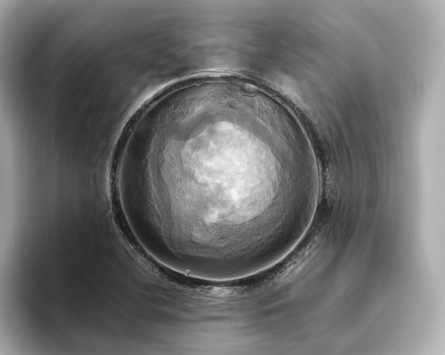 X0000093611412200710151231