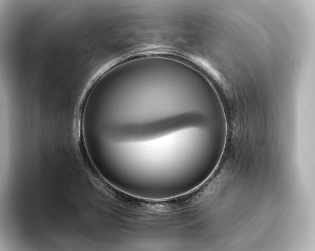 X0000093611413200710151231