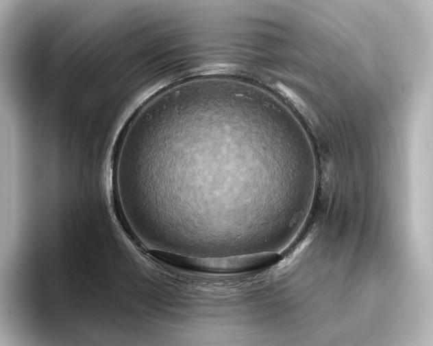 X0000093611418200710151231
