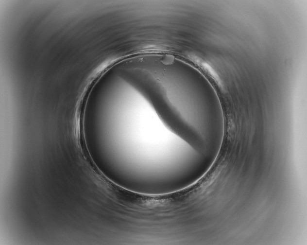 X0000093611419200710151231