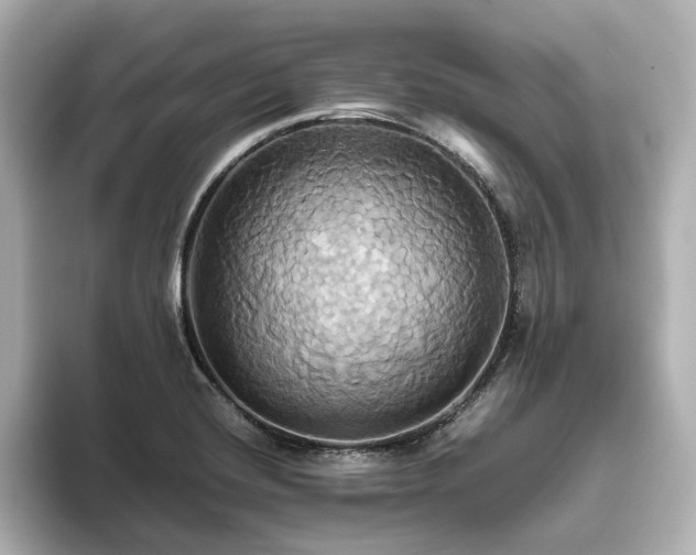 X0000093611420200710151231