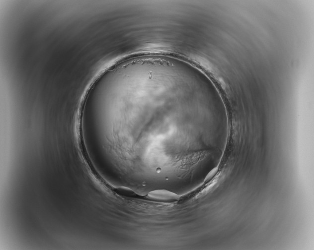 X0000093611421200710151231