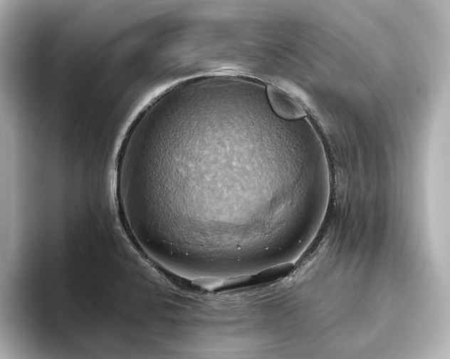 X0000093611424200710151231