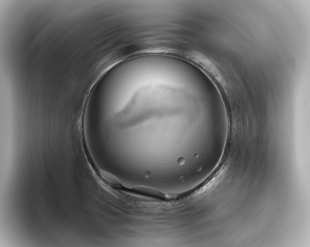 X0000093611425200710151231