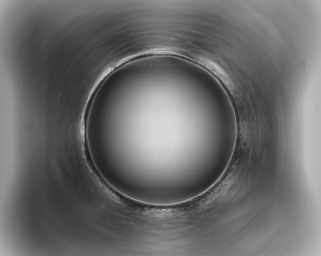 X0000093611428200710151231