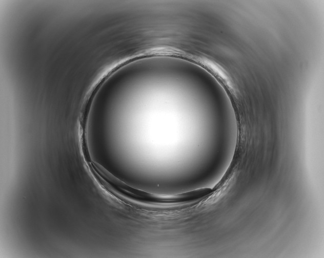 X0000093611430200710151231