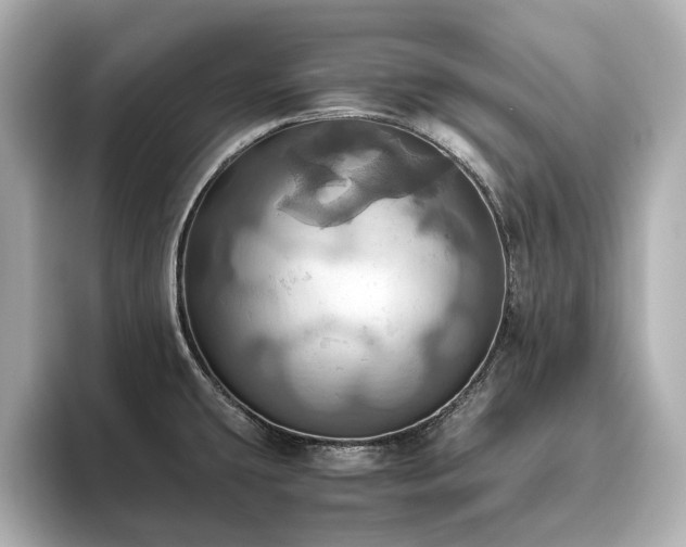 X0000093611431200710151231