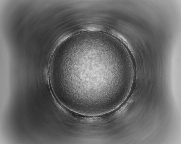 X0000093611433200710151231
