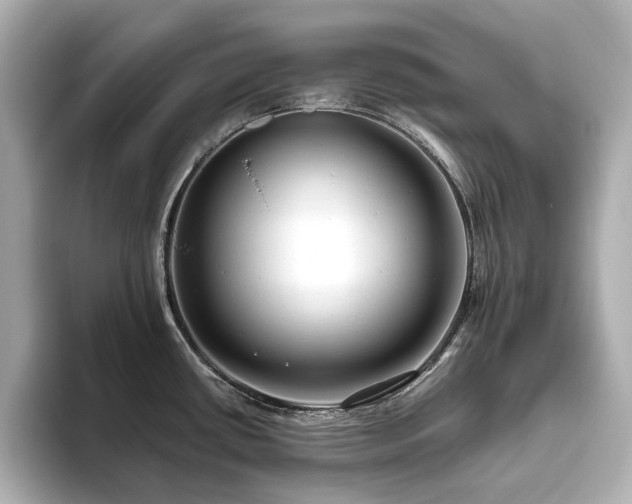 X0000093611434200710151231