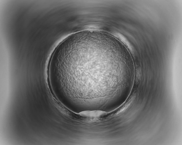 X0000093611435200710151231