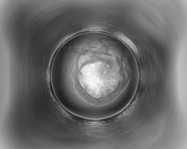 X0000093611436200710151231