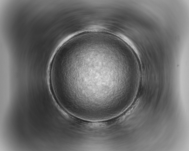 X0000093611437200710151231