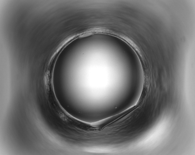 X0000093611438200710151231