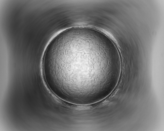 X0000093611440200710151231