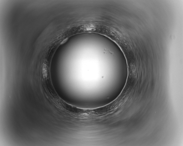 X0000093611442200710151230