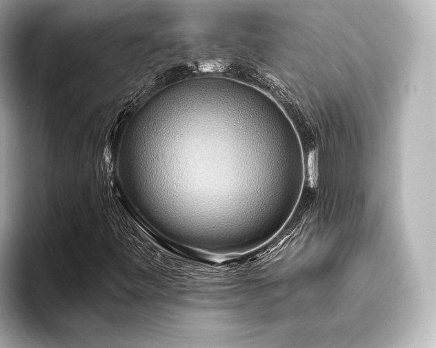 X0000093611443200710151230