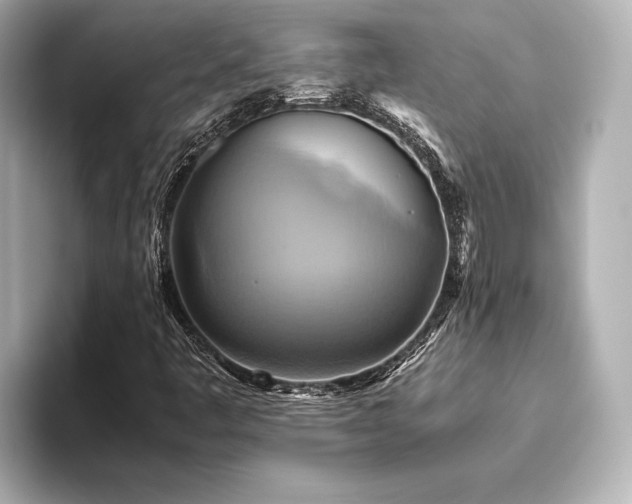 X0000093611445200710151230
