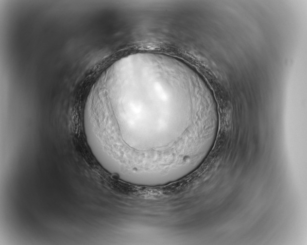 X0000093611446200710151230